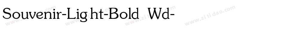 Souvenir-Light-Bold Wd字体转换